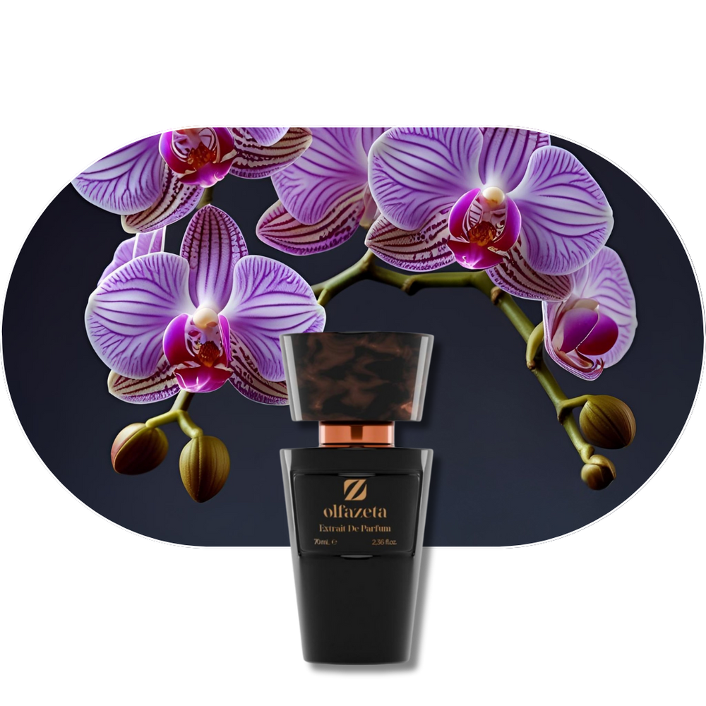 Chogan Parfum 54 Flakon vor lila Orchideenblüten mit warmem, dunklem, zeitlosem Duft