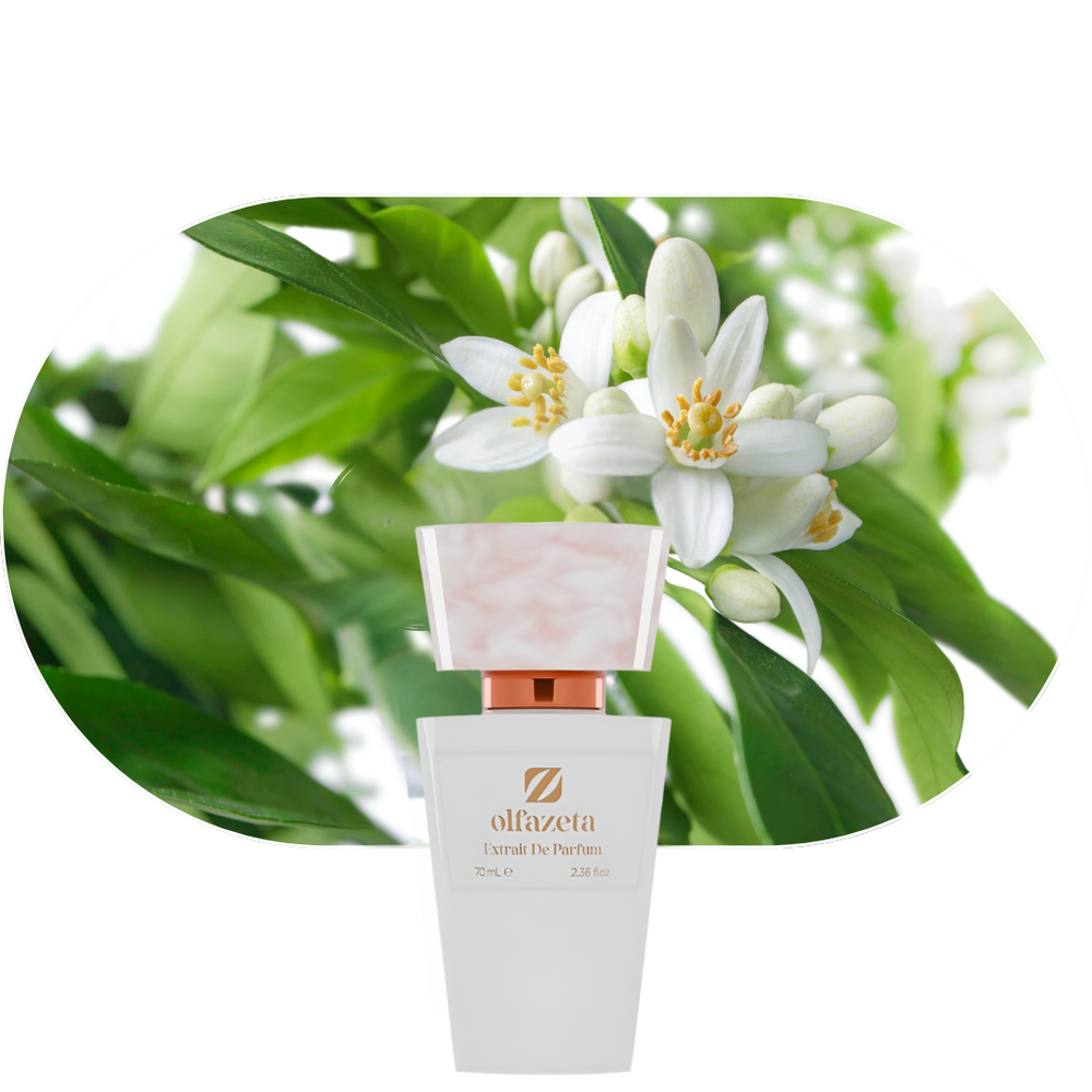 Chogan Parfum 133 mit blumigen Noten von Jasmin und Neroli vor grünem Blütenhintergrund