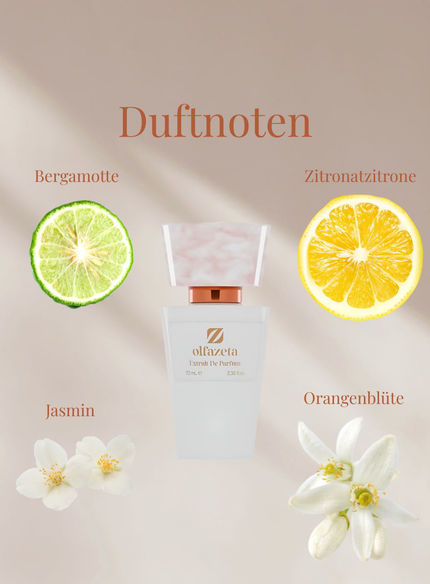 Chogan Parfum Flakon umgeben von Duftnoten Bergamotte, Zitronatzitrone, Jasmin und Orangenblüte auf hellem Hintergrund